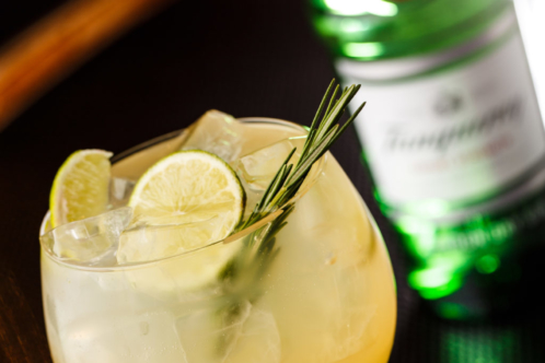 close up of Tanqueray gin and tonic lemon drink