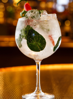 Close up of gin and tonic on bar table