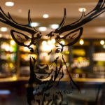A print of a stags head on glass in the lounge area at mercure inverness hotel