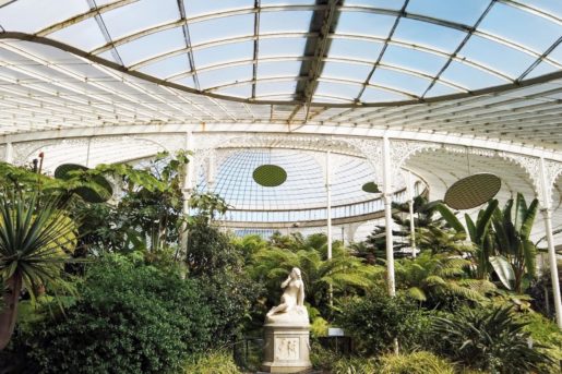 Inside The Glasgow Botanical Gardens